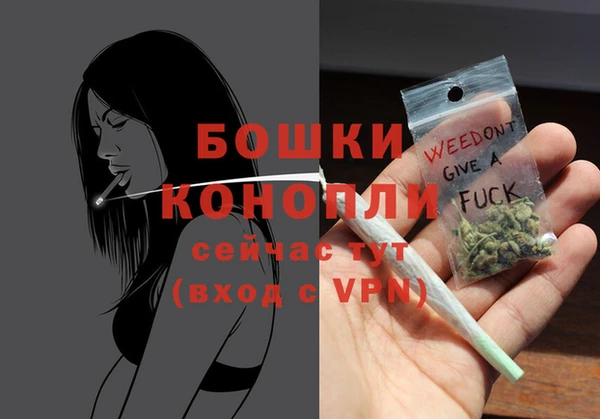 шишки Бронницы