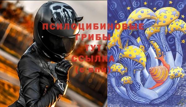 дурь Богданович