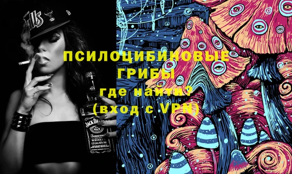 дурь Богданович